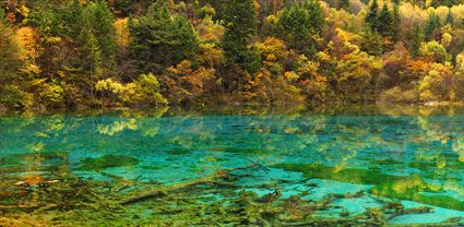 Jiuzhaigou National Park - China T (PBH4 00 15427)